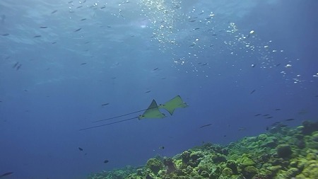 P0901115212S044