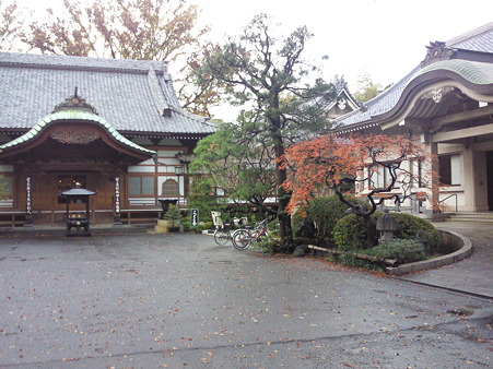 月窓寺をスルーしました #kichijoji