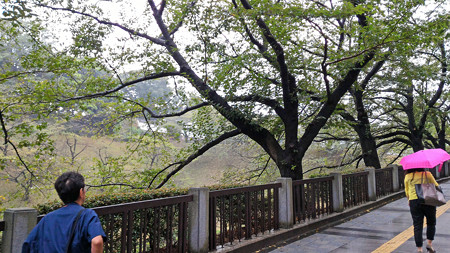 P_20150826_114959_edited-1