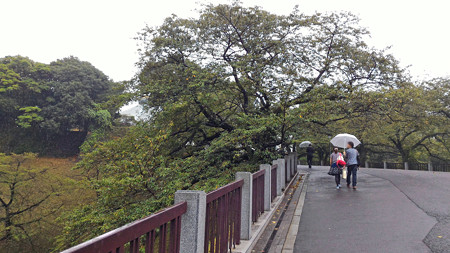 P_20150826_115049_edited-1