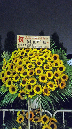 P_20150826_213124_edited-1