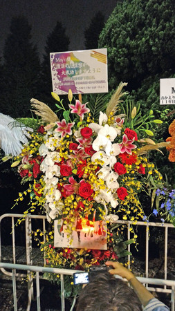 P_20150826_213153_edited-1