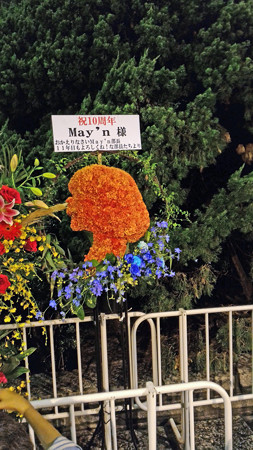 P_20150826_213157_edited-1