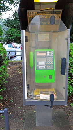 P_20150826_171019_edited-1