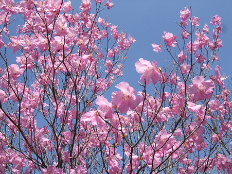 DSCF0751