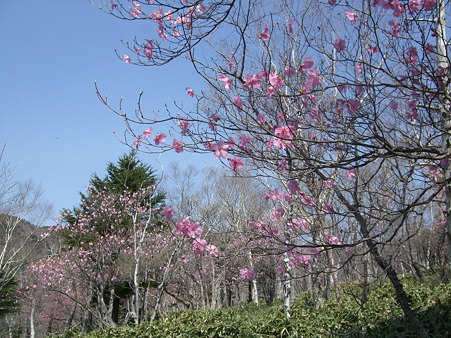 DSCF0759