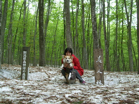 DSCF0386