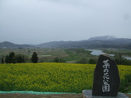 DSCF0382