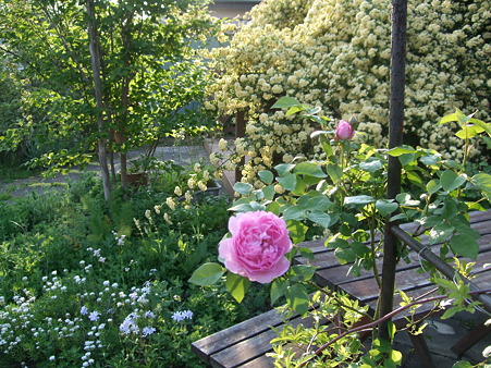 DSCF0673