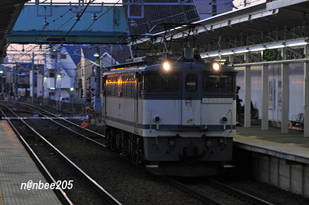 1月31日　単8495ﾚ　EF65 1101