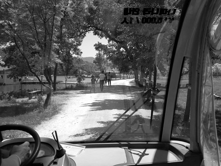 韓国の南怡島より