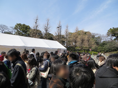 IMG_0871_edited-11136