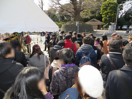 IMG_0877_edited-11151