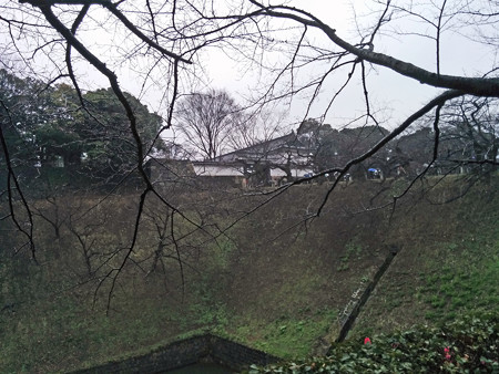 IMG_20150301_141743_edited-11417