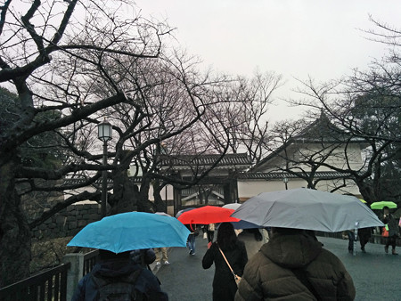 IMG_20150301_141849_edited-11418