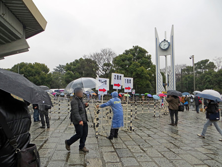 IMG_0960_edited-11410