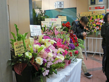 IMG_0978_edited-11831