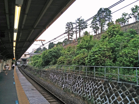 IMG_20150515_172514_edited-2