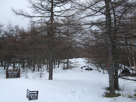 3 8 雪解け間近の黒斑へ 単独 はなはな日記