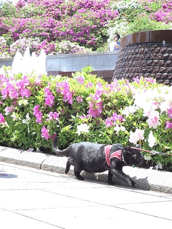 福井西山公園4