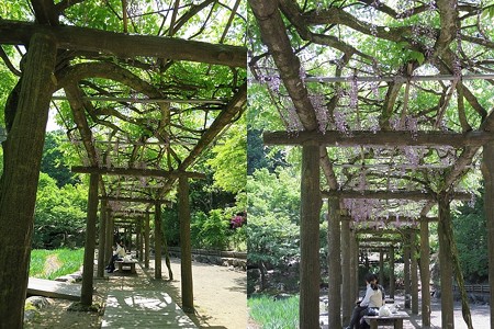 福井西山公園14