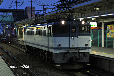 1月19日　単8495ﾚ　EF65 1101