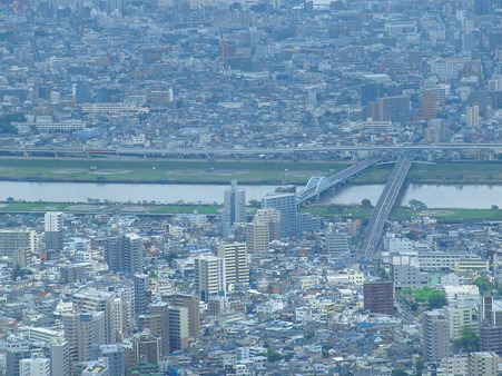 CIMG6547　よく泳ぎに行く荒川　（ロンがですよ）