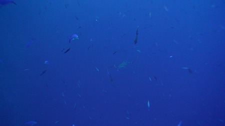 P0831120346S020