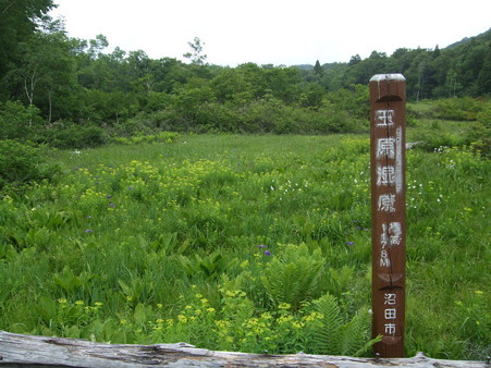 DSCF1517