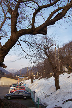 SDIM0820