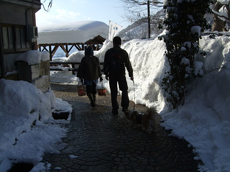 DSCF8443