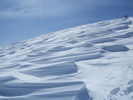 DSCF9648