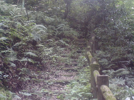 chitose17