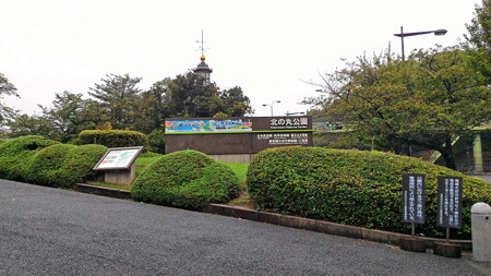 P_20150826_115052_edited-1