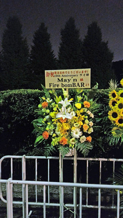 P_20150826_213118_edited-1