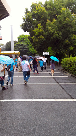 P_20150826_171234_edited-1