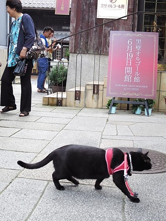 チャンプ長浜へ行く8