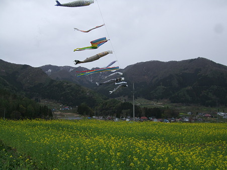DSCF0383