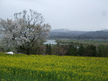 DSCF0381