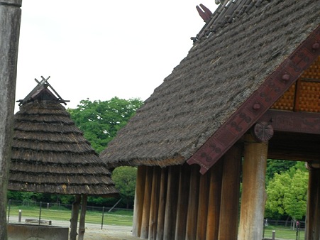 SANY0083