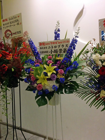 IMG_20140626_215023_edited-1