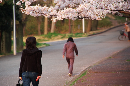 公園にて