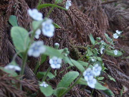 P4120800