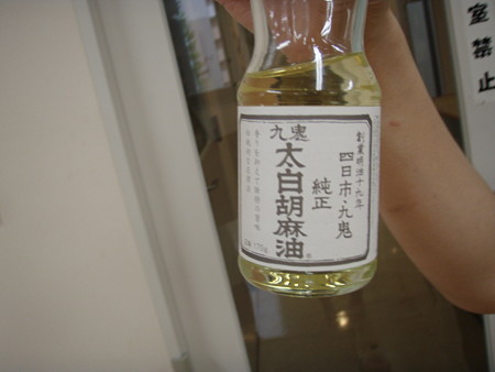 P9133885