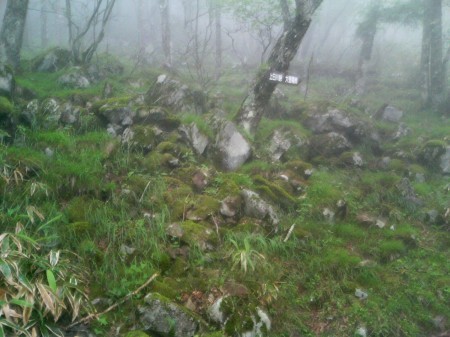 137_雨の山道