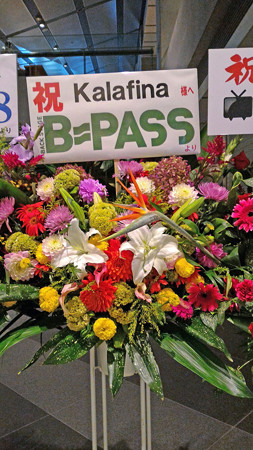 P_20151011_141115_edited-1