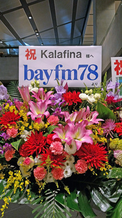 P_20151011_141122_edited-1