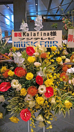 P_20151011_141205_edited-1