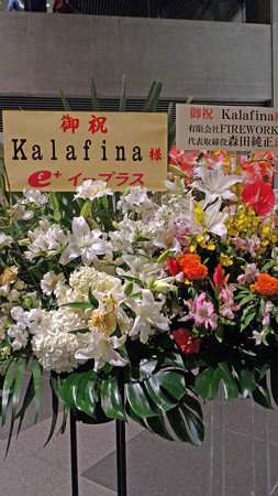 P_20151011_184203_edited-1