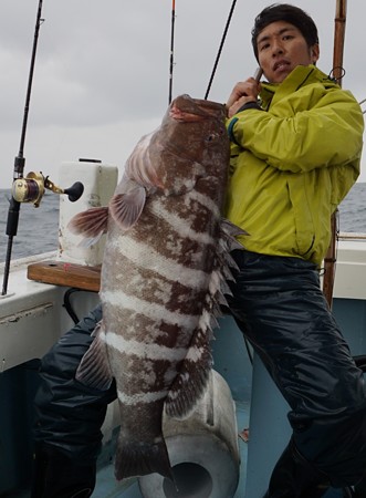 マハタのタックルバランス詳細 魚類殲滅計画